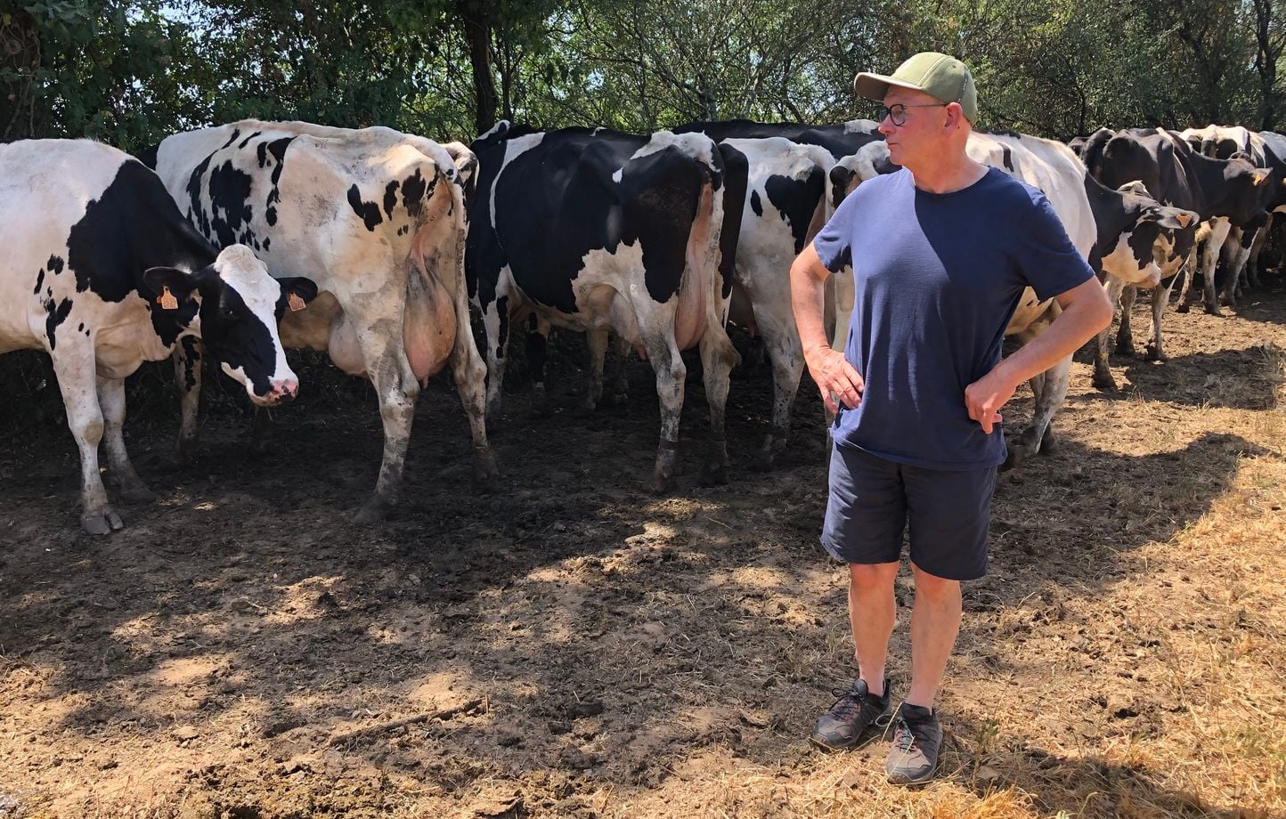 “Los hombres, los animales y las cosechas están sufriendo”… La consternación de los agricultores ante la ola de calor y la sequía “Los hombres, los animales y las cosechas están sufriendo”… La consternación de los agricultores ante la ola de calor y la sequía